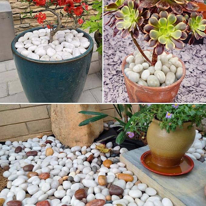 Vsell24 3Kg Extra Large Natural River Rocks Highly Polished Pebbles for Plants Garden Decorative Stones, Ideal for Fish Tank, Vases, Succulents, Crafting, Home Decor and Garden Landscaping