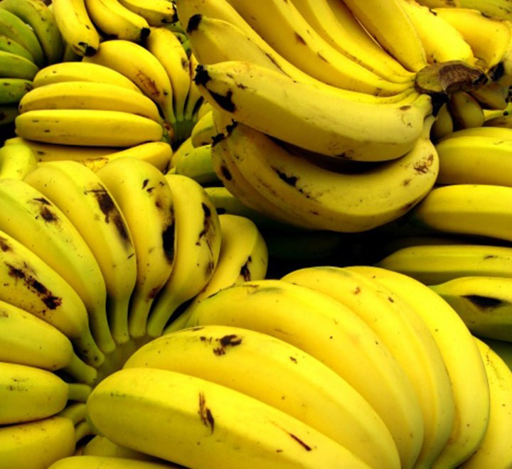 Musa Paradisiaca Or Banana Tree "80cm-90cm" شجرة الموز
