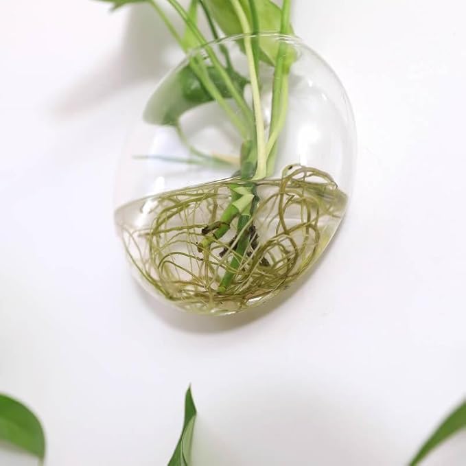 Hydroponics