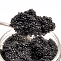Caviar