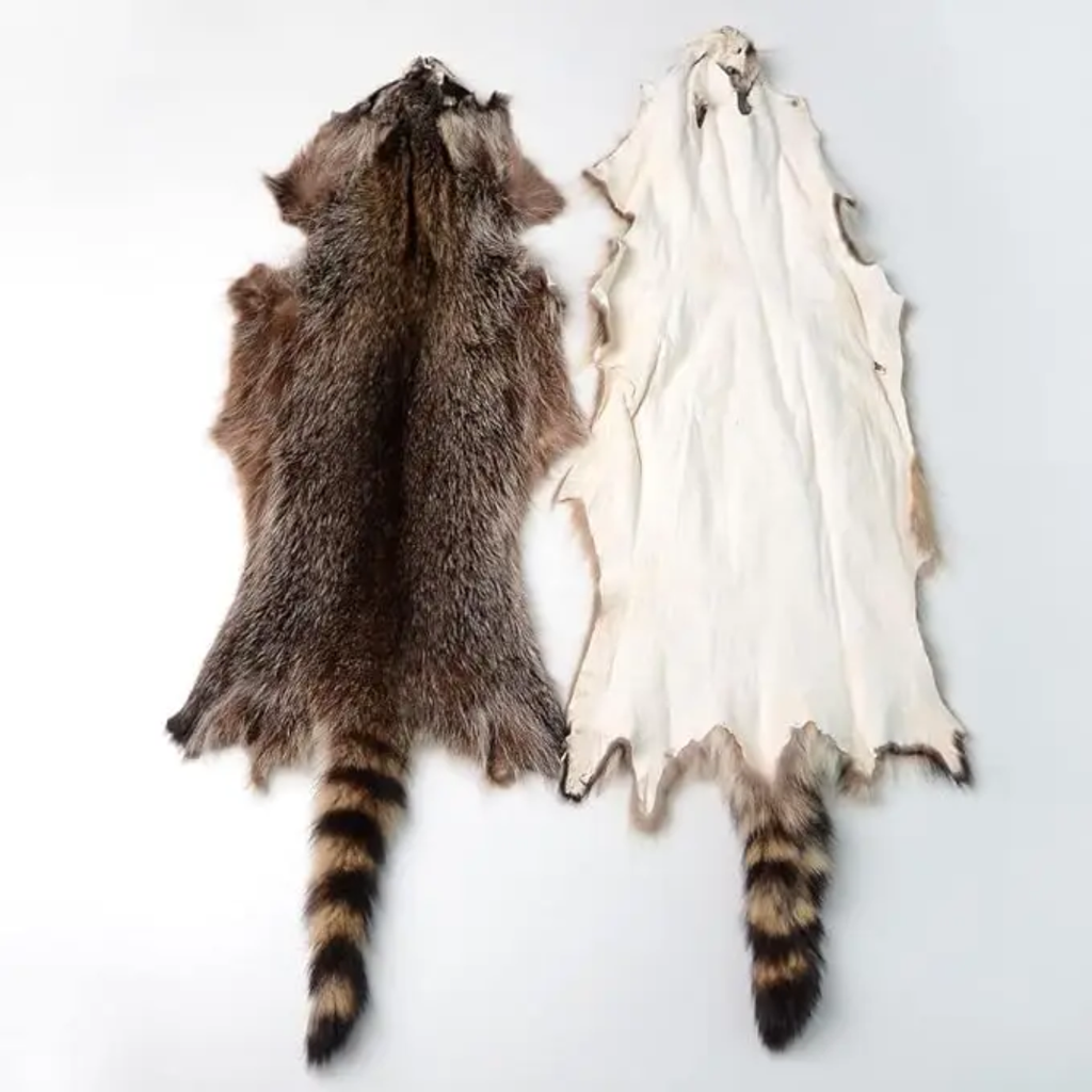 Natural Tanned American Raccoon Fur Hide Whole Skin Pelts Crafts Sewing Leather for Coats,Hats,Clothing
