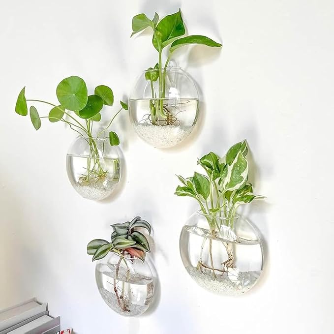 Hydroponics