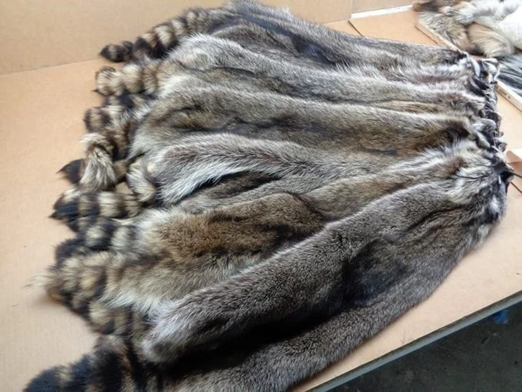 Natural Tanned American Raccoon Fur Hide Whole Skin Pelts Crafts Sewing Leather for Coats,Hats,Clothing