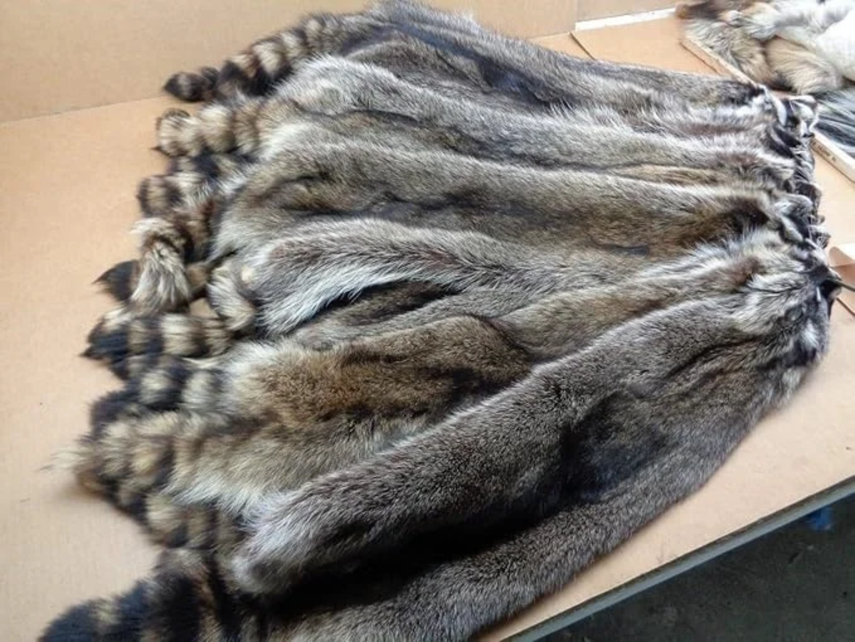 Natural Tanned American Raccoon Fur Hide Whole Skin Pelts Crafts Sewing Leather for Coats,Hats,Clothing