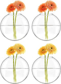 Paporich 4 Pcs Wall Hanging Planter Propagation Station, Glass Flower Vase for Hydroponics Plants, Bathroom, Home Office Living Room Decor Gift