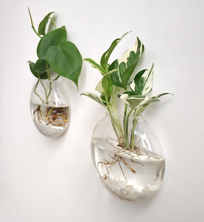 Hydroponics