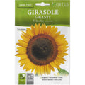 🌻 Large Sunflower Seeds (Girasole Gigante) | Premium Quality Seeds by Hortus