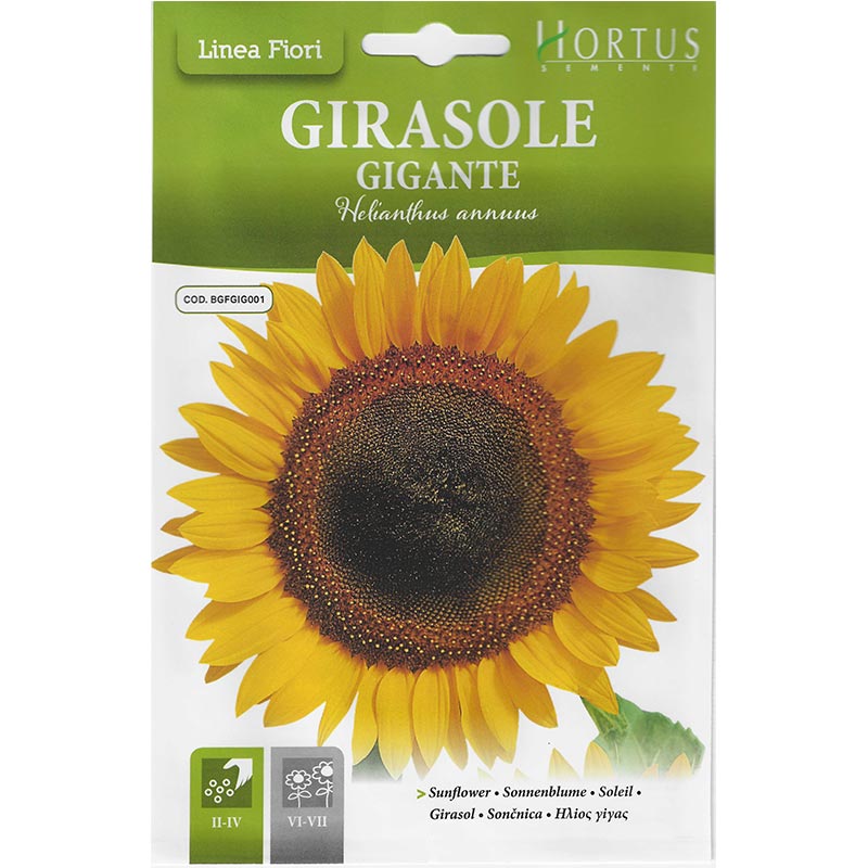 🌻 Large Sunflower Seeds (Girasole Gigante) | Premium Quality Seeds by Hortus